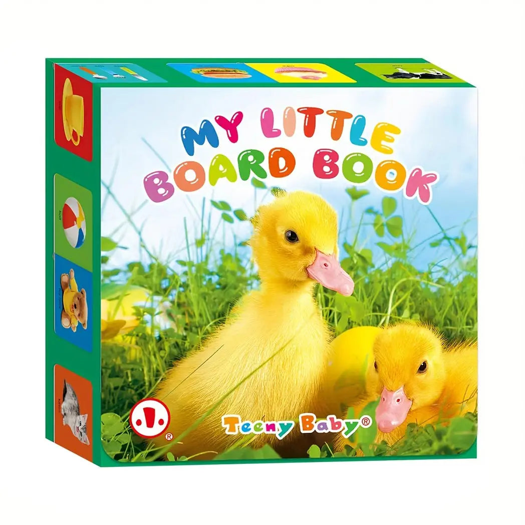 Baby Colorful Pattern Card Books Interactive Sensory Early Education Toy