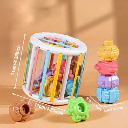 Montessori Baby Toys Sensory Learning Blocks