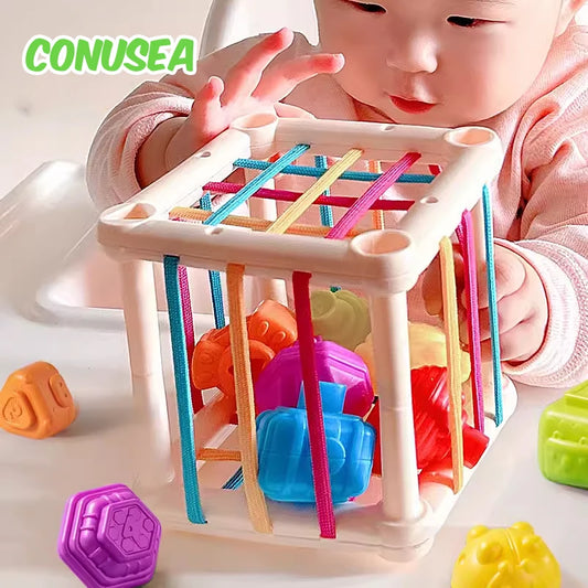 Montessori Baby Toys 18M Sensory Educational Colorful Blocks Sorting Game
